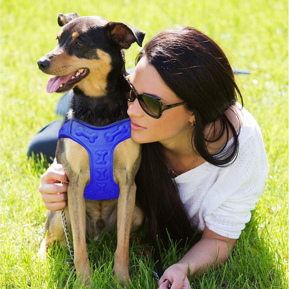 Metric USA Comfort fit Dog Harness Easy to Put-on Comfortable Adjustable Step in Soft Padded Dog Vest Harnesses for Small and Medium Dogs Under 30 lbs, Blue, M, Chest 18-20"