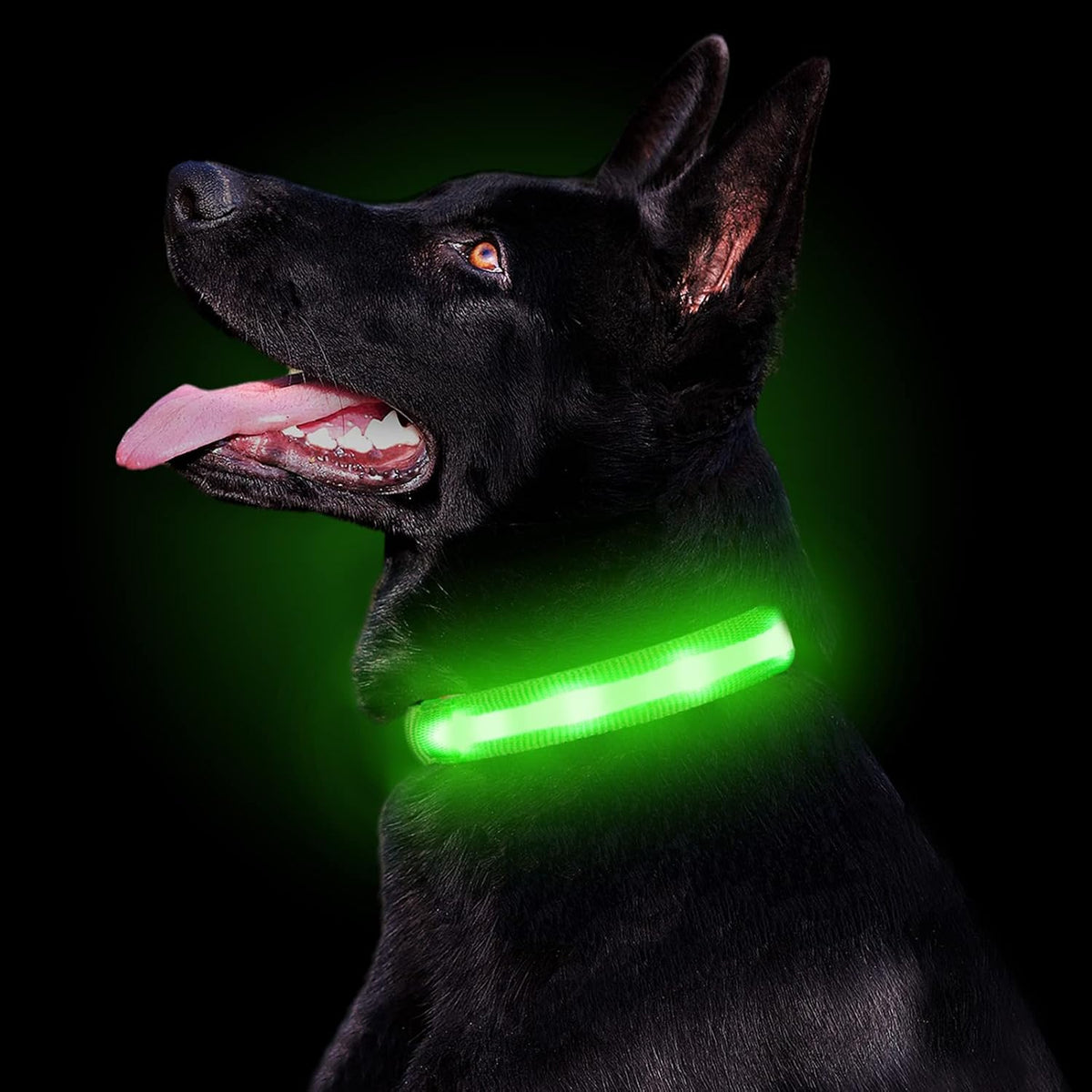 PetIsay Waterproof LED Dog Collar, USB Rechargeable Light Up Pet Collars, Reflective Glowing Flashing Safety Puppy Leash Dog Necklace for Small, Medium, Large Dogs