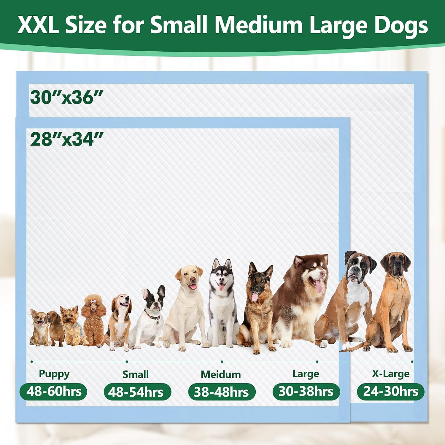 Gimars XL 6-Layer Ultra Absorbent 1200ml 48-Hour Leak-Proof Dog Pee Pads, Quick Dry Extra Large Puppy Pads for Puppy Training, Senior & Incontinent Dogs, Cats, Overnight Use, 30"x36", 50 Count