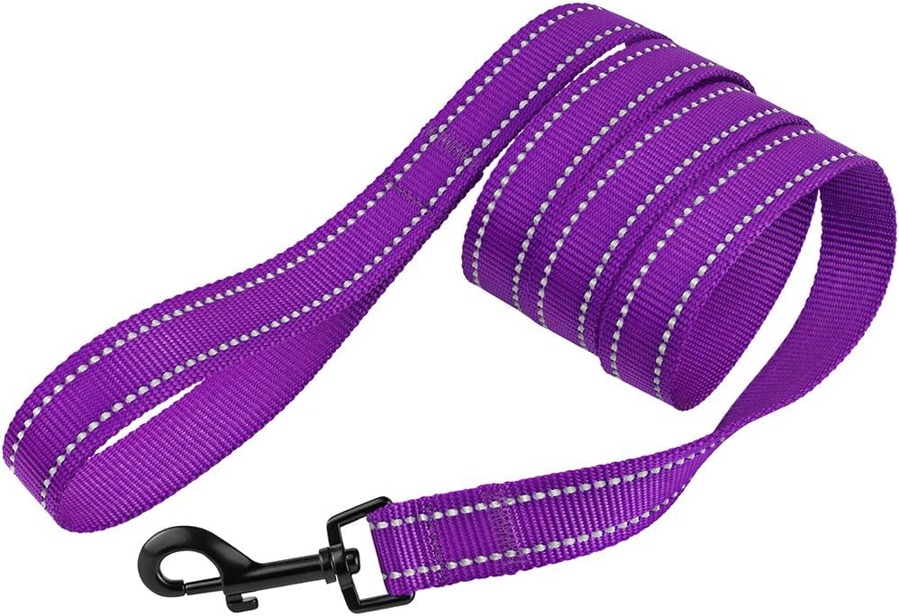 CollarDirect Dog Leash Durable Pet Leash for Walking Training Running for Small, Medium and Large (Reflective, Purple, L)