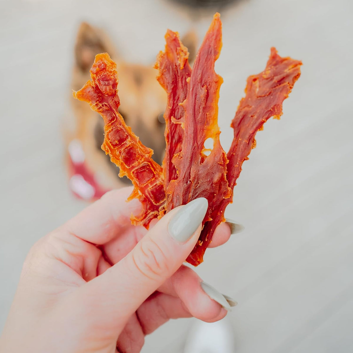 Cadet Gourmet Duck Jerky Dog Treats For Training - Healthy & Natural Dog Training Treats for Small & Large Breeds - Inspected & Tested in USA (40 oz.)