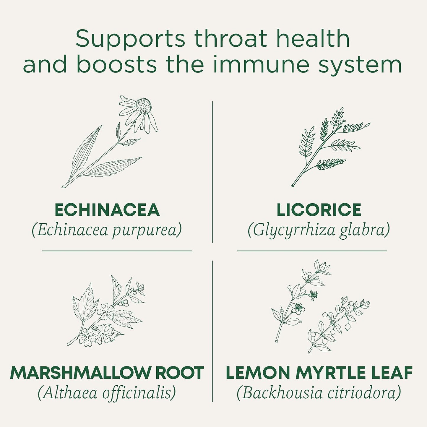 Traditional Medicinals Organic, Throat Coat Lozenges, Lemon Ginger Echinacea - Herbal Cough Drops, Helps Soothe Sore Throat - Non-GMO, Stimulant-Free - 16 Count