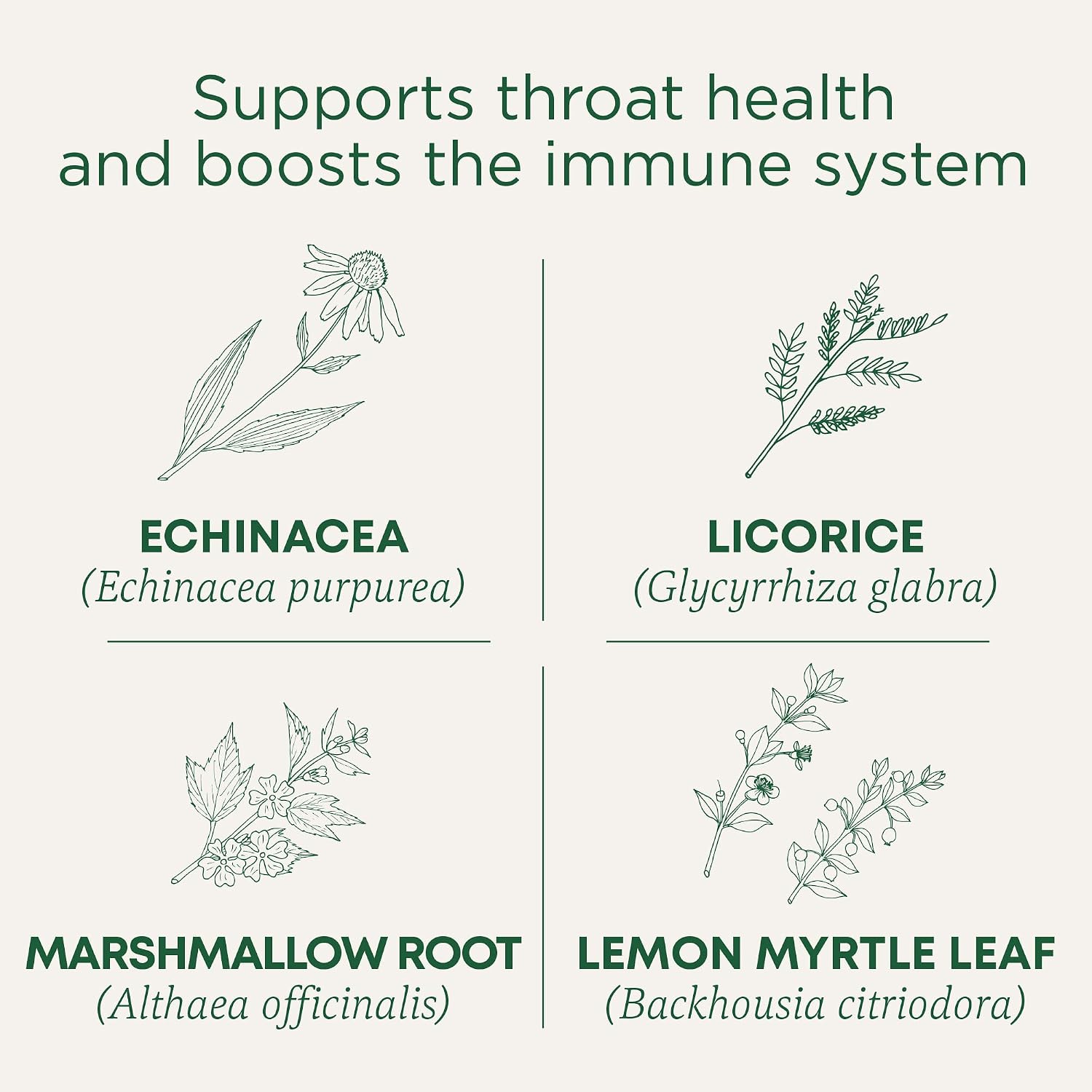 Traditional Medicinals Organic, Throat Coat Lozenges, Lemon Ginger Echinacea - Herbal Cough Drops, Helps Soothe Sore Throat - Non-GMO, Stimulant-Free - 16 Count