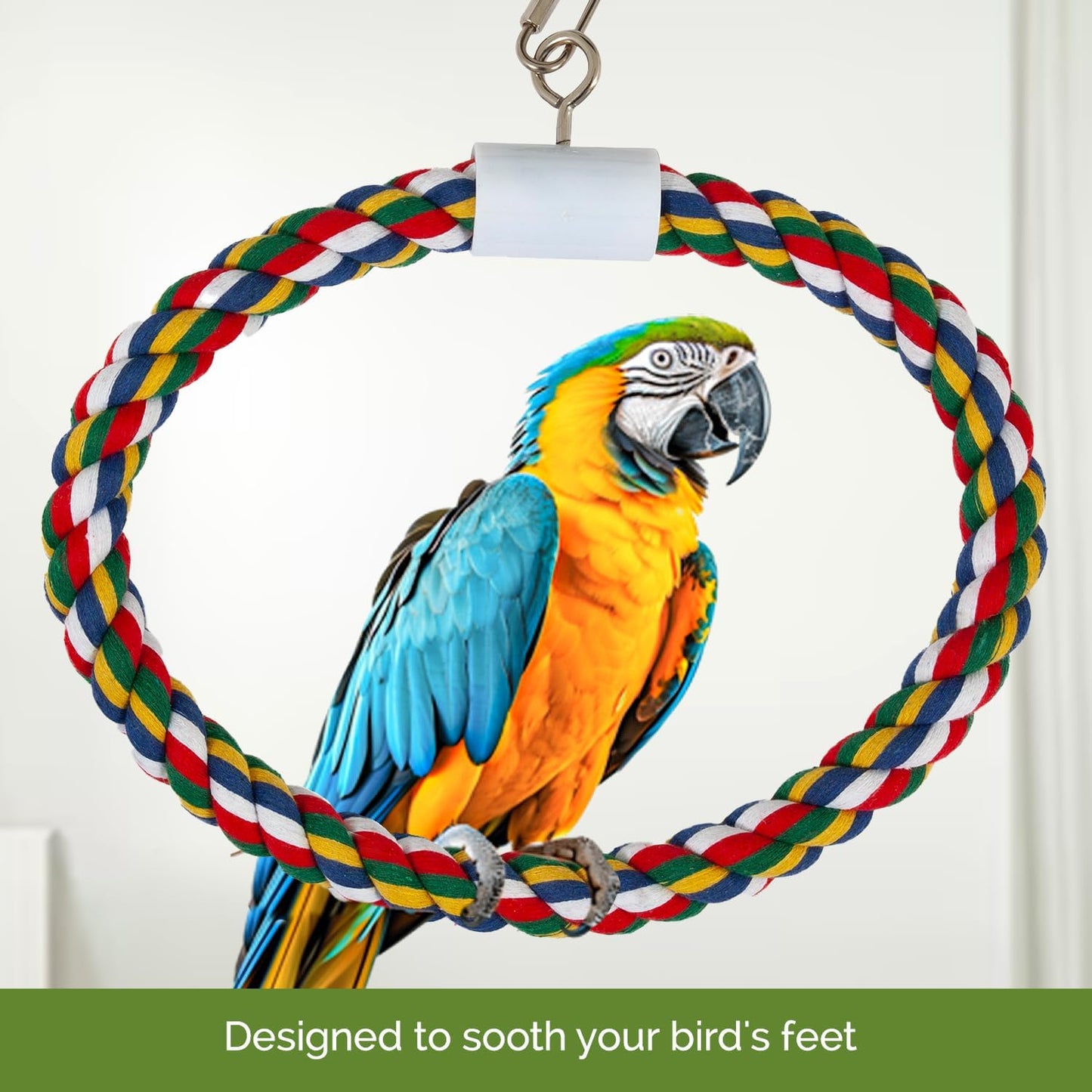JW Pet Swing N' Perch, Large
