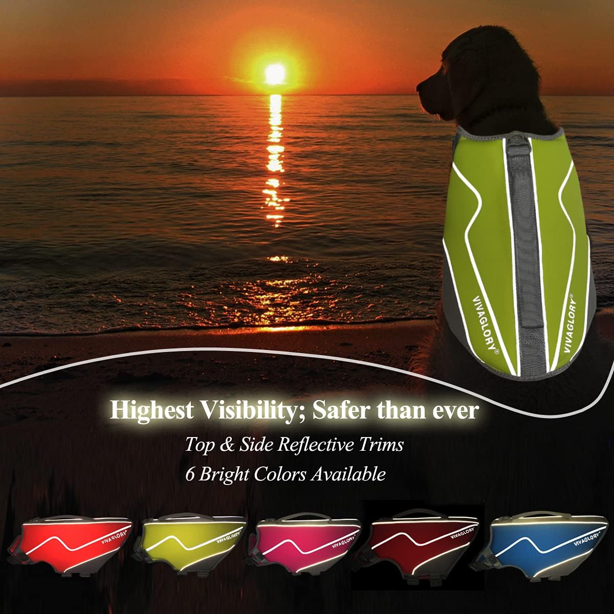 VIVAGLORY Life Jacket for Dogs of Sports Style, Water Vest Jacket for Dog, Heavy Duty Pet Safety Vest, Comfortable Neoprene Lifejackets with Hook & Loop Closure, Blue, Small