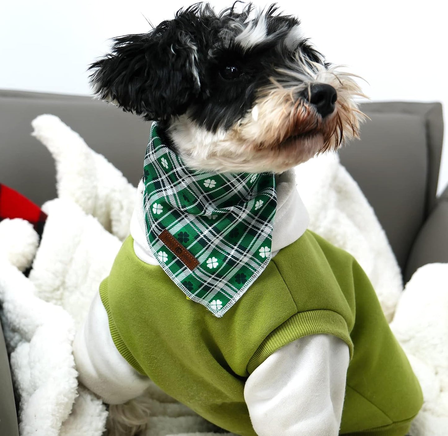 lionet paws St Patricks Dog Bandana for Small Medium Large Dogs, Cat Dog Kerchief Triangle Green Clover Bibs Scarf for Girl Boy