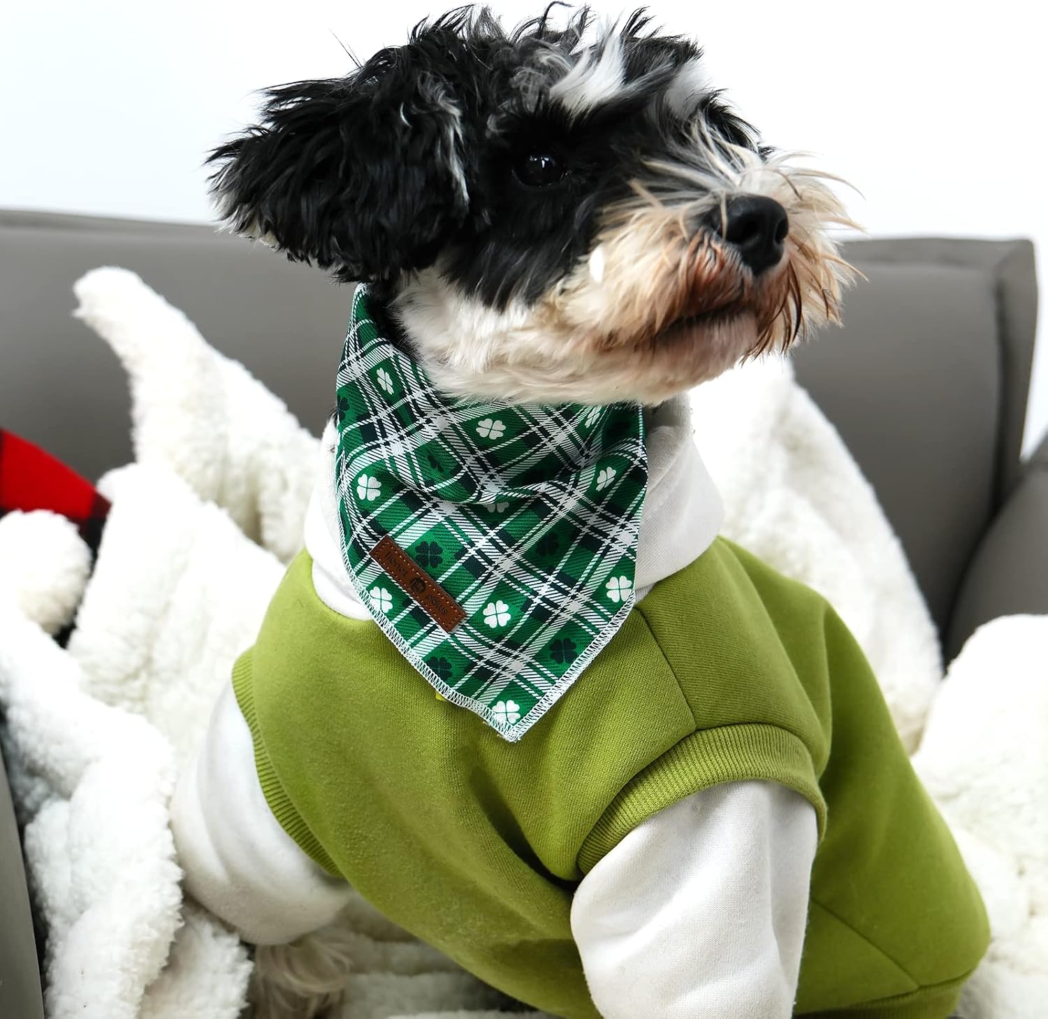 lionet paws St Patricks Dog Bandana for Small Medium Large Dogs, Cat Dog Kerchief Triangle Green Clover Bibs Scarf for Girl Boy