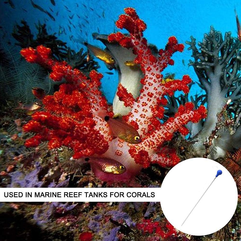 PeSandy Coral Feeder SPS HPS Feeder, Long Acrylic Aquarium Choice Coral Feeder Syringe Tube for Reef/Anemones/Eels/Lionfish and Other Organisms, Liquid Fertilizer Feeder Accurate Dispensing Spot