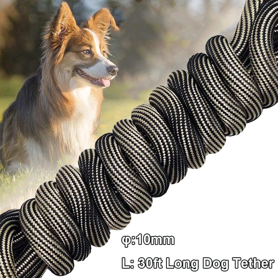 BTINESFUL Tie-Out Check Cord Long Rope Dog Tether, 8ft 12ft 20ft 30ft 50ft Dog Lead for Yard, Large Medium Dogs Oudoor Training, Playing, Camping, or Backyard (30ft, Beige Black)