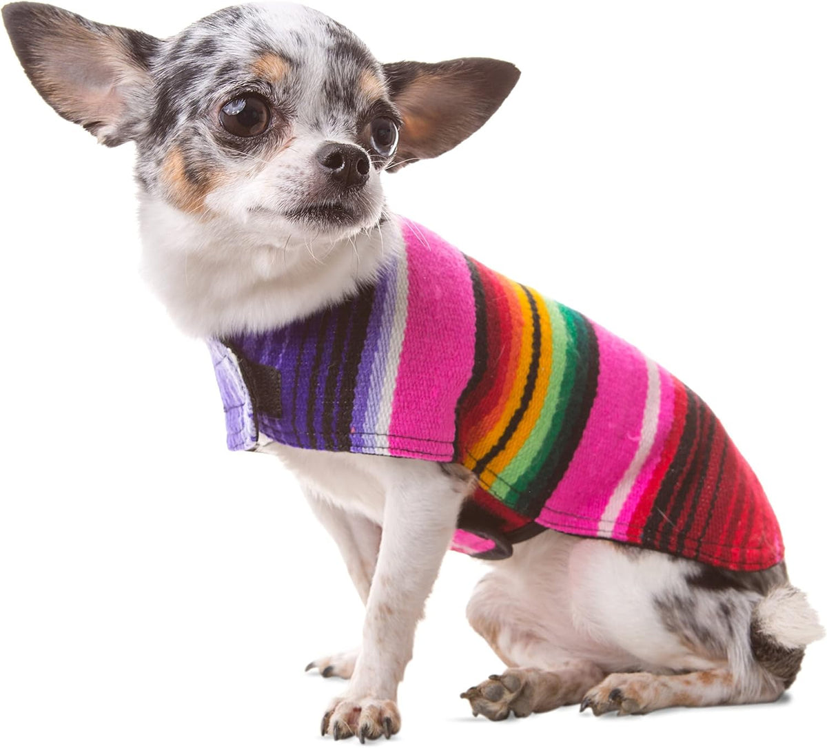 Dog Clothes - Handmade Dog Poncho from Authentic Mexican Blanket by Baja Ponchos (Pink, Large)