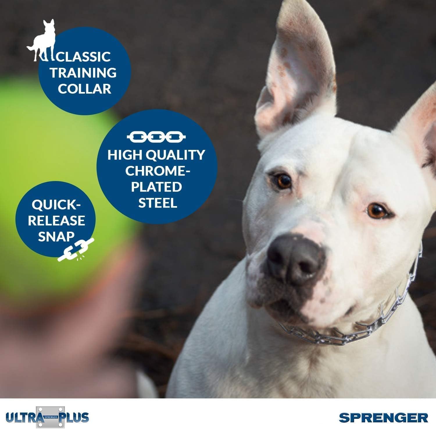 Herm Sprenger Chrome Plated Steel Training Prong Collar with Quick Release Snap for Dogs, 23in (58cm) x 3.2mm, (Neck Size UP to 19 inches)