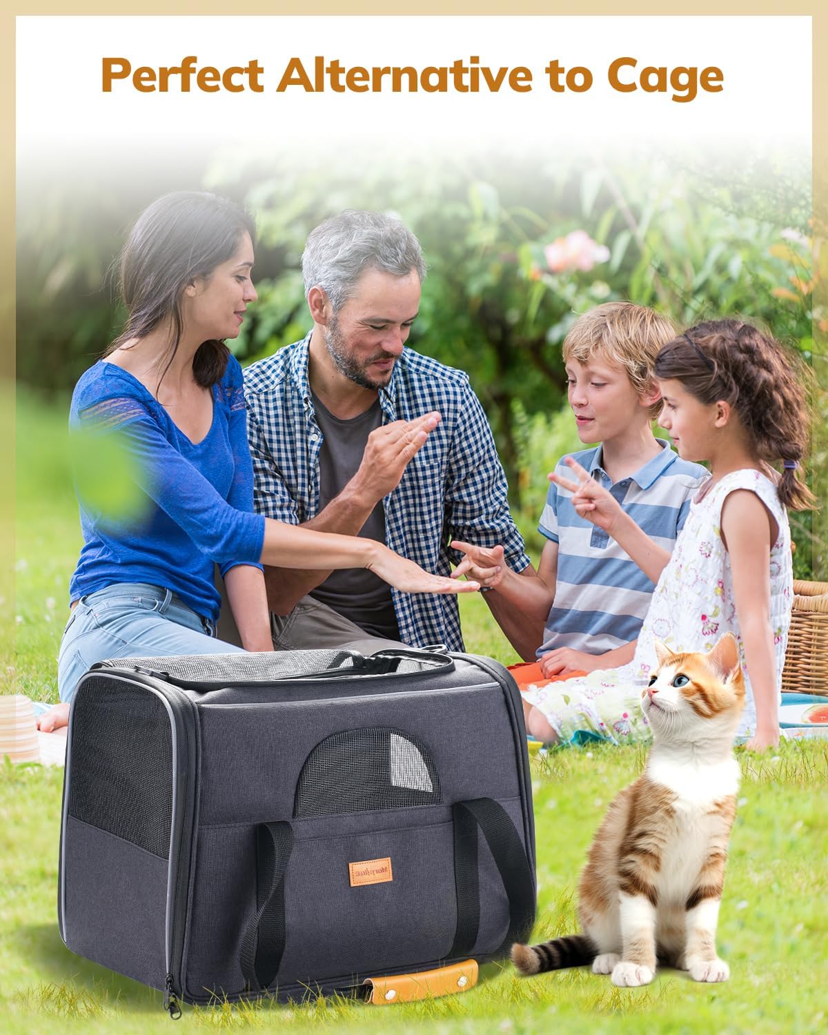Morpilot Cat Carrier - Cat Carrier Soft for Medium or Large Cats up to 20lbs, with Dual-Sided Cushion, Secure Buckle and Foldable Bowl, Dog Carriers for Small Dogs - Pet Carrier (Dark Gray)