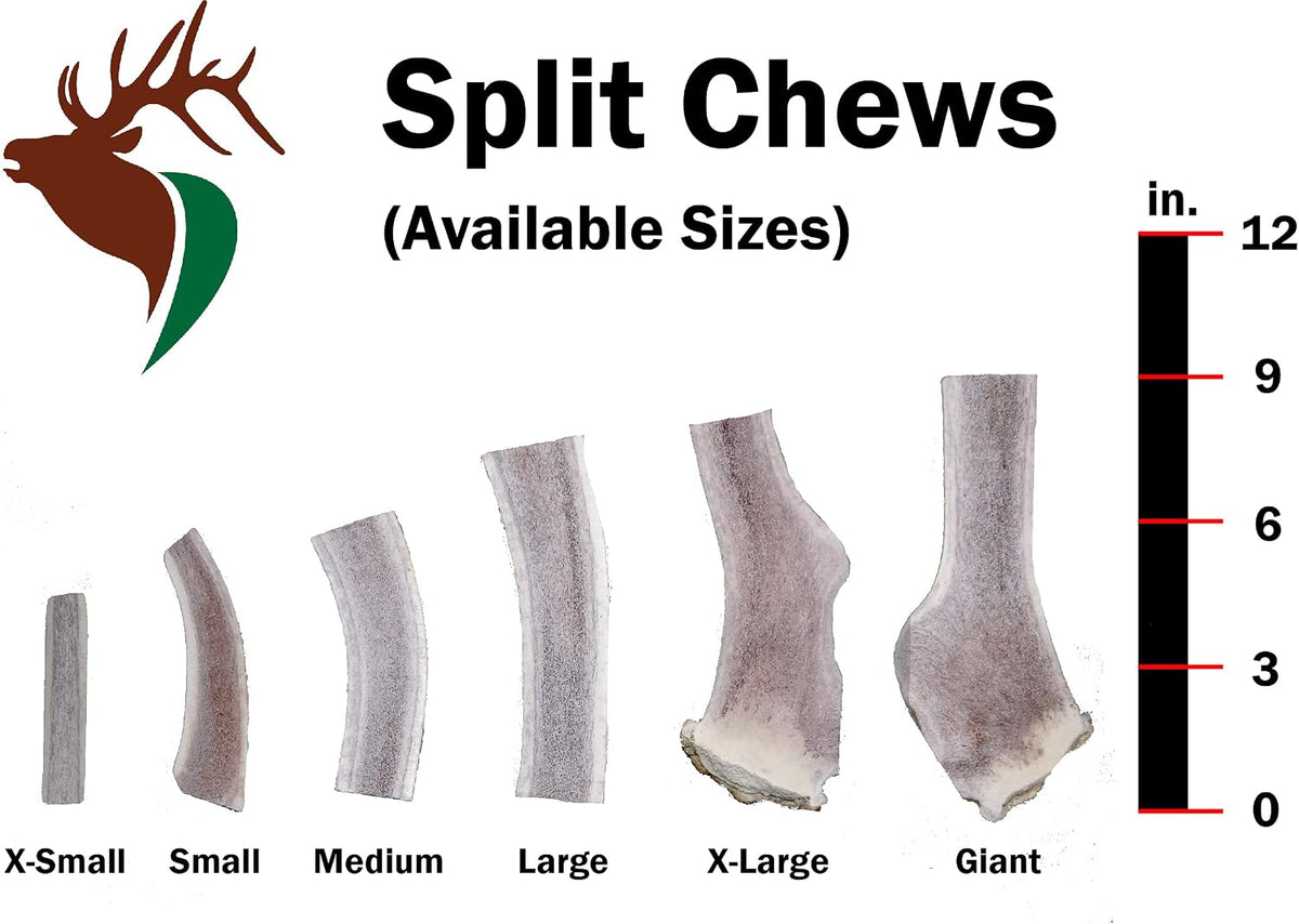 Elkhorn Premium Chews – Elk Antlers for Dogs, X Large (6-10") Split, 1 Pack, All Natural Dog Chew for X Large Dogs, Premium Naturally Shed Antler Bone for Aggressive Chewers, Sourced in the USA