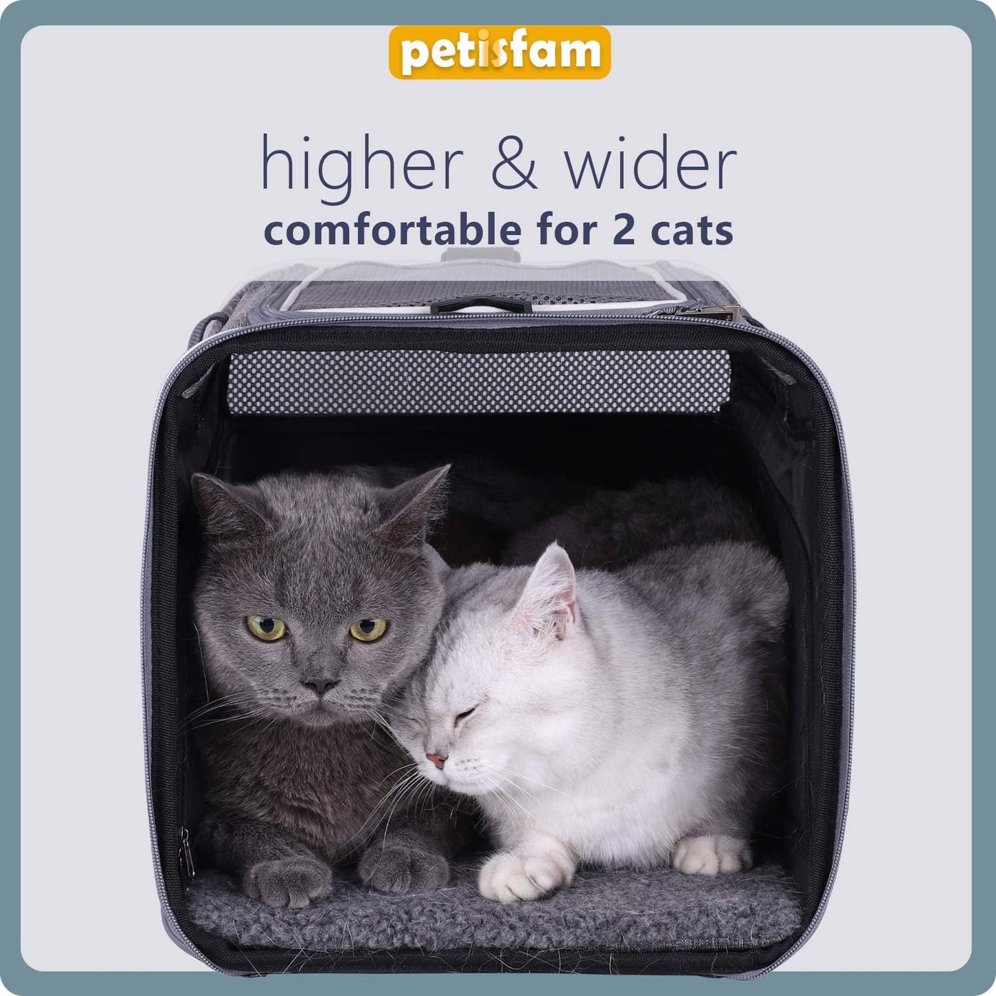 Easy Load Soft Pet Carrier Bag Cat for Medium, Large Cats, Puppy, Sturdy, Collapsible, Comfy, Black w/Blue Trim, L