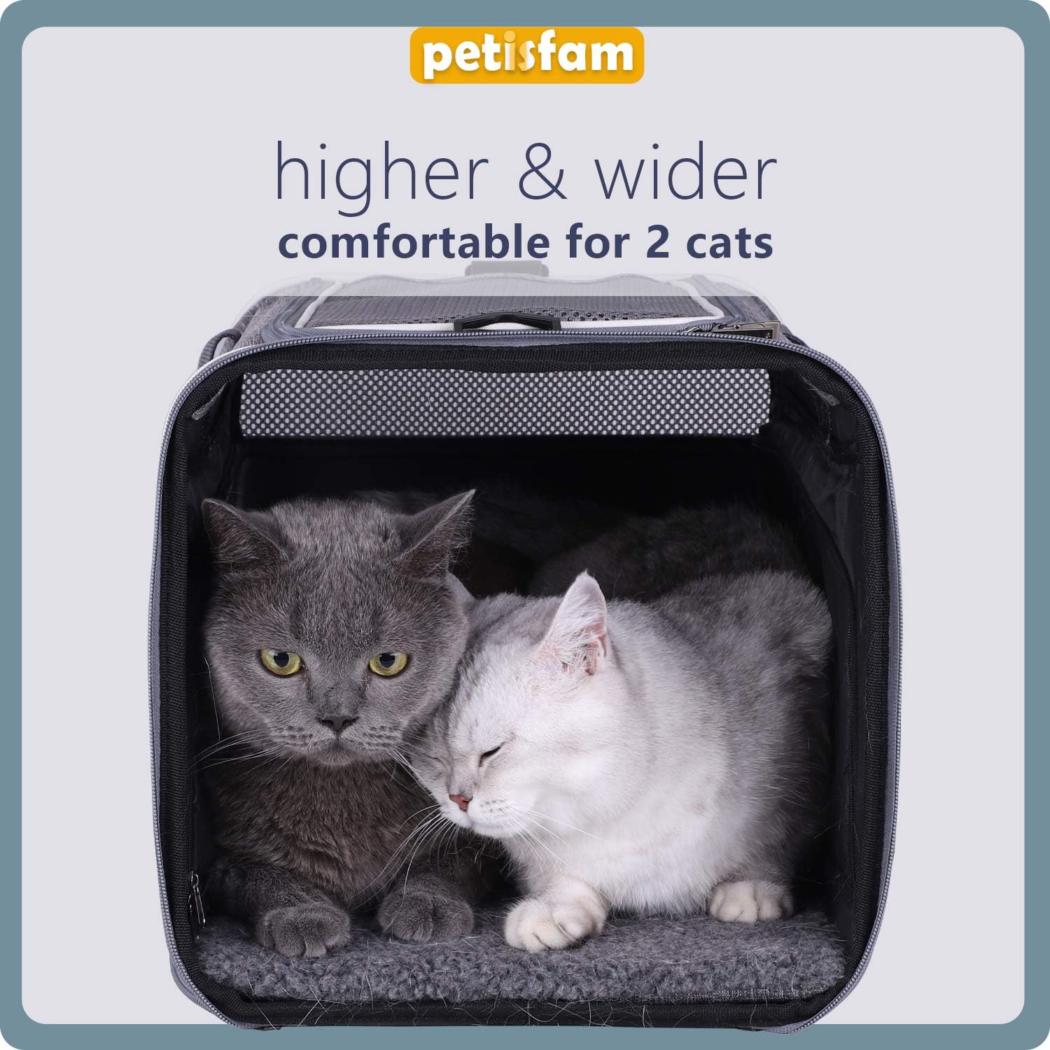 Easy Load Soft Pet Carrier Bag Cat for Medium, Large Cats, Puppy, Sturdy, Collapsible, Comfy, Black w/Blue Trim, L