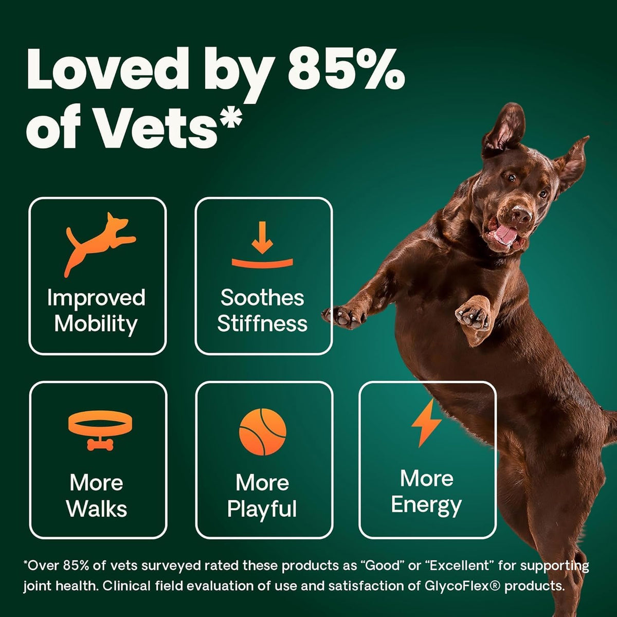 VetriScience Ultimate Strength Healthy Hip & Joint Chewable Tablets, GlycoFlex Glucosamine, Chondroitin and Green-Lipped Mussel Joint Supplement for Dogs, Soothe Joint Discomfort, Chicken, 120 Count