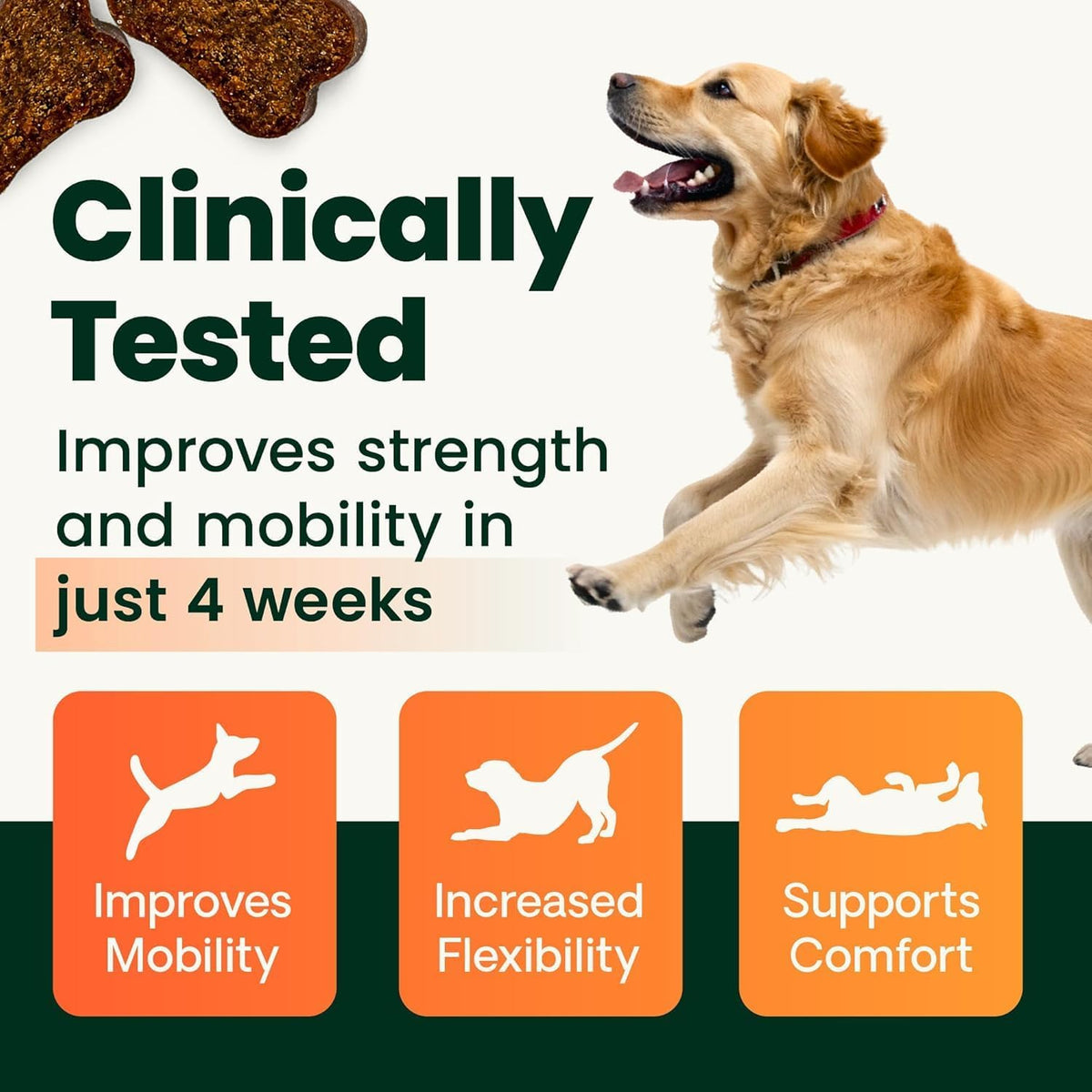 VetriScience Ultimate Strength Healthy Hip & Joint Chewable Tablets, GlycoFlex Glucosamine, Chondroitin and Green-Lipped Mussel Joint Supplement for Dogs, Soothe Joint Discomfort, Chicken, 120 Count