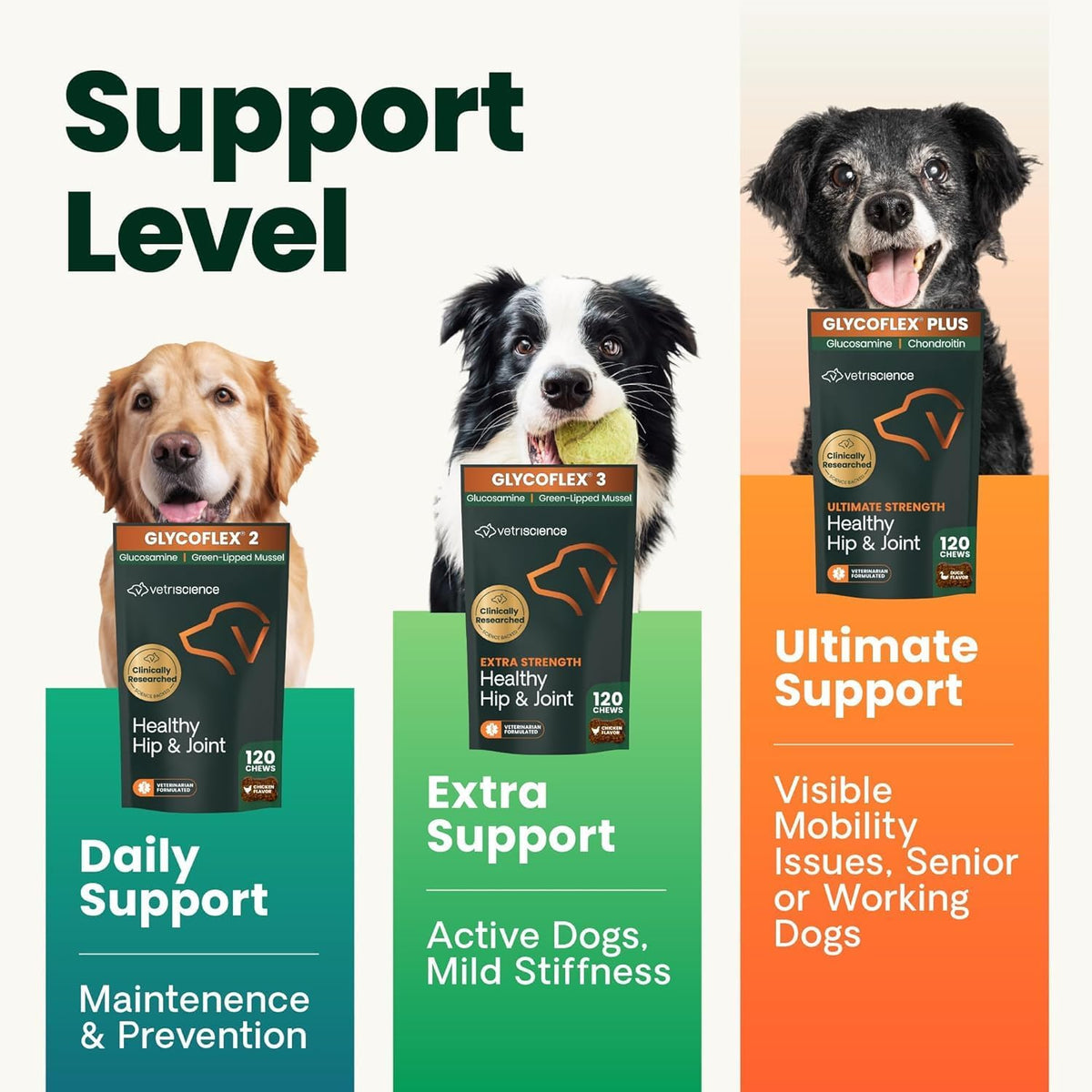 VetriScience Ultimate Strength Healthy Hip & Joint Chewable Tablets, GlycoFlex Glucosamine, Chondroitin and Green-Lipped Mussel Joint Supplement for Dogs, Soothe Joint Discomfort, Chicken, 120 Count
