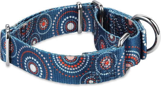 Dazzber Martingale Collar Floral Print Dog Collar, No Pull Pet Collar, Heavy Duty Adjustable Dog Collar, Medium, Neck 14 Inch to 21 Inch, Firework Dots-Indigo