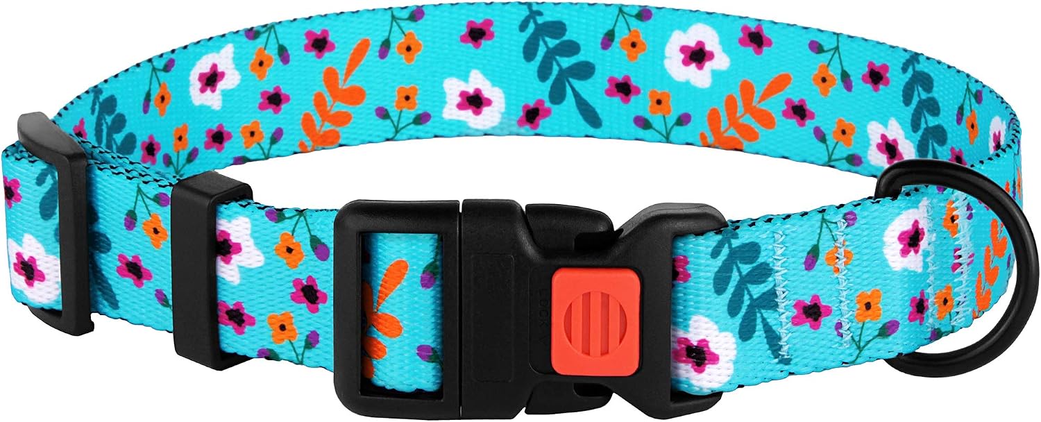 CollarDirect Floral Dog Collar Nylon Pattern Flower Print Adjustable Pet Collars for Dogs Small Medium Large Puppy (Neck Fit 18"-26", Aquamarine)