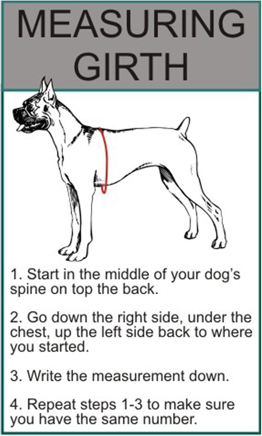 DO NOT PET Dog Vest Harness with Removable Patches and Reflective Trim. Comes with 2 DO NOT PET Reflective Removable Patches. Please Measure Dogs Girth Before Purchase