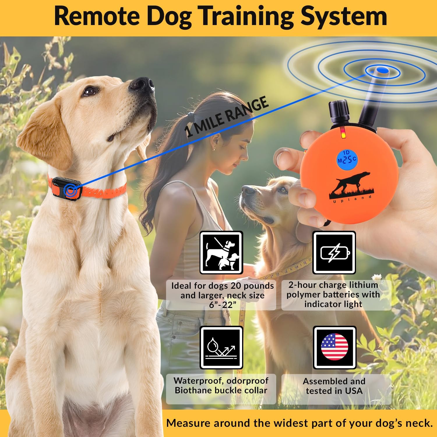 E-Collar Educator Upland Dog Training Collar, Orange, 2 Med/Large Dogs | 100 Levels of Safe Stimulation, 1 Mile Range, Waterproof & Rechargeable, Night Light, Includes Premium Finger Clicker