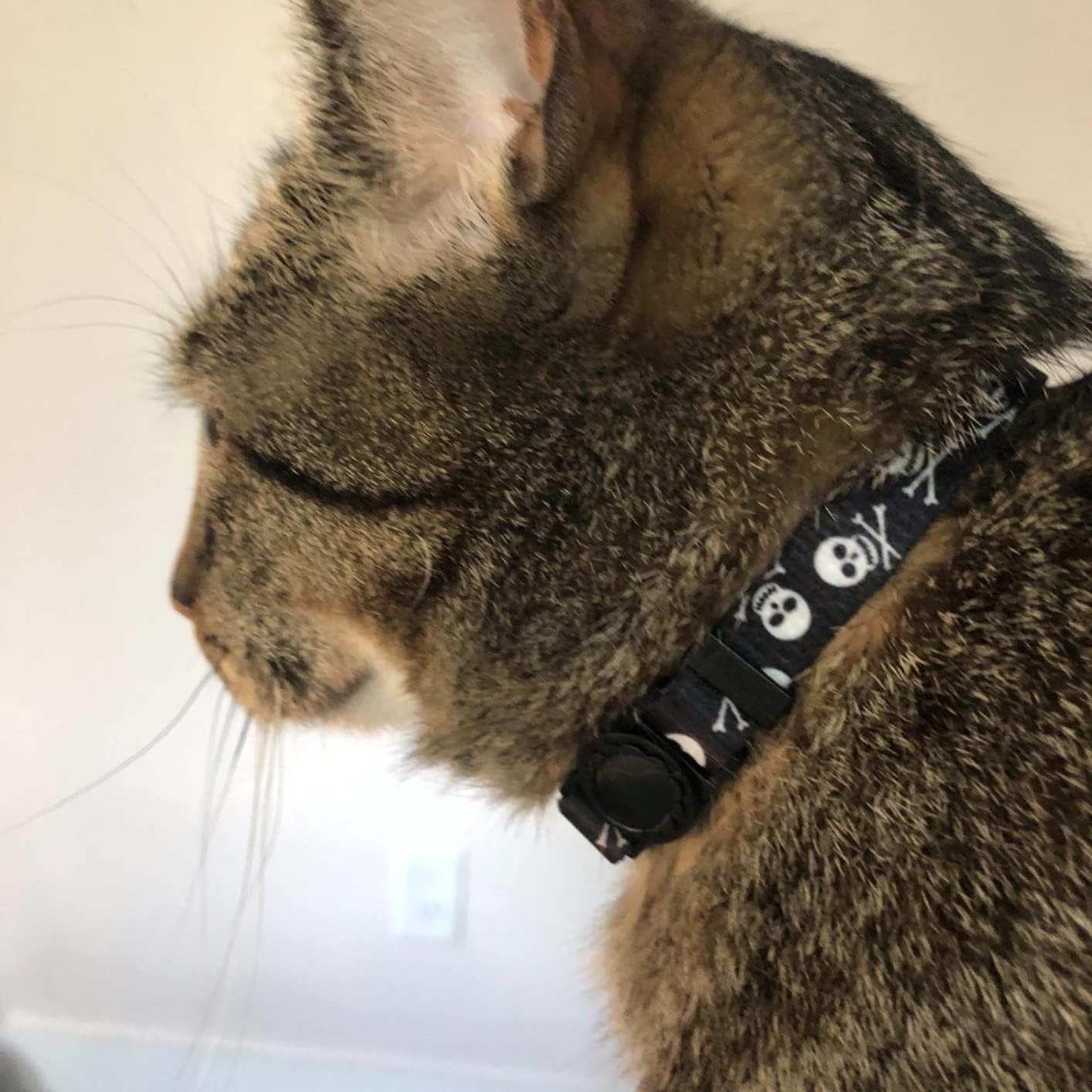 PUPTECK Cat Collar Breakaway with Bells, Kitten Collar Outfit Adjustable for Girl Boy Small Pet Puppy Bunny, Cute Costume Accessory with Safety Release Buckle (Skull)