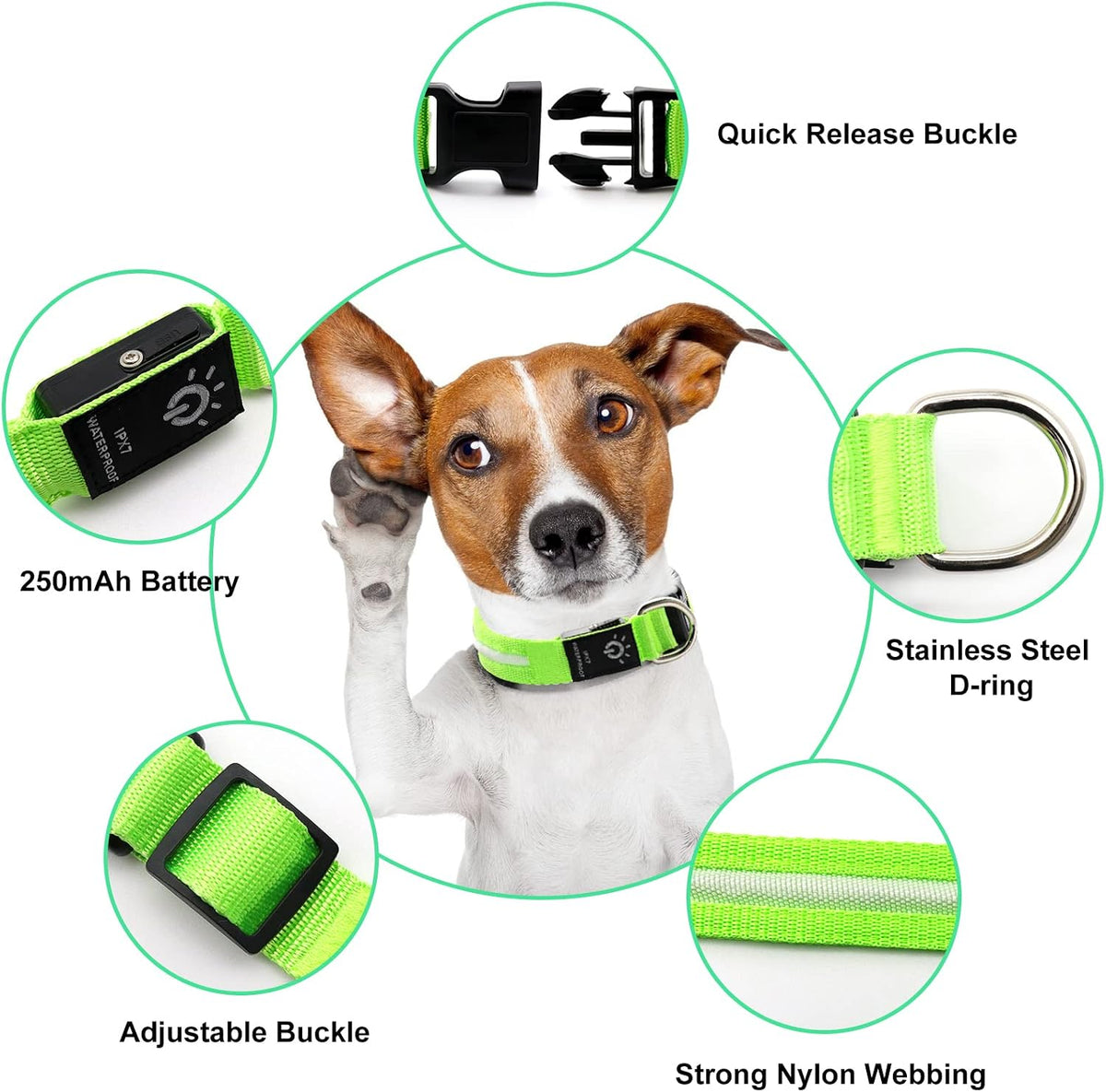 PetIsay Waterproof LED Dog Collar, USB Rechargeable Light Up Pet Collars, Reflective Glowing Flashing Safety Puppy Leash Dog Necklace for Small, Medium, Large Dogs