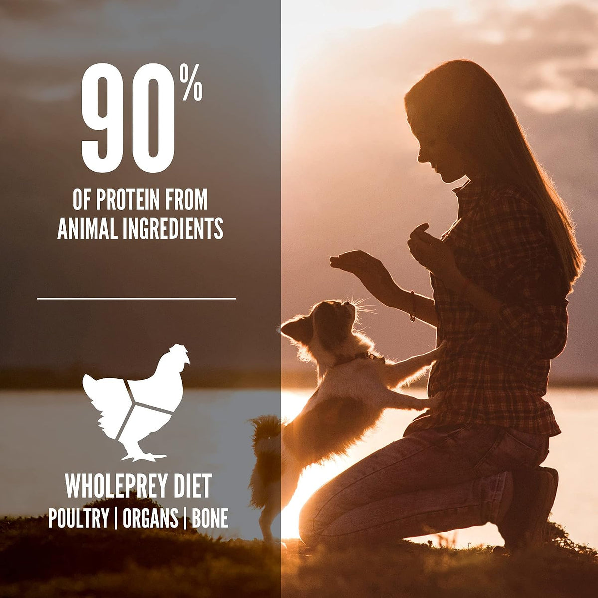ORIJEN High Protein Dog Biscuit Treats,Grain-free, Puppy, 8 oz