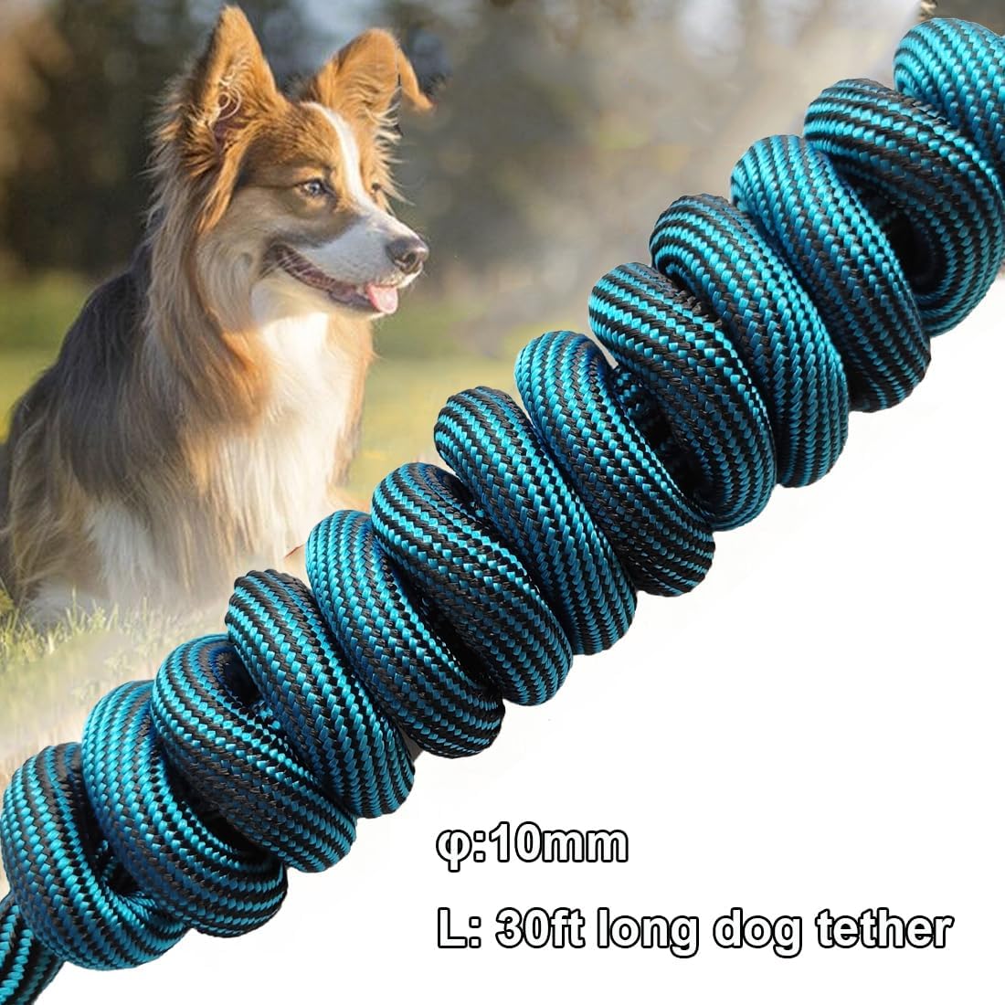 BTINESFUL Tie-Out Check Cord Long Rope Dog Leash, 8ft 12ft 20ft 30ft 50ft Recall Training Dog Lead- Great for Large Medium Small Dogs Training, Playing, Camping, or Backyard (30ft, Blue Black)