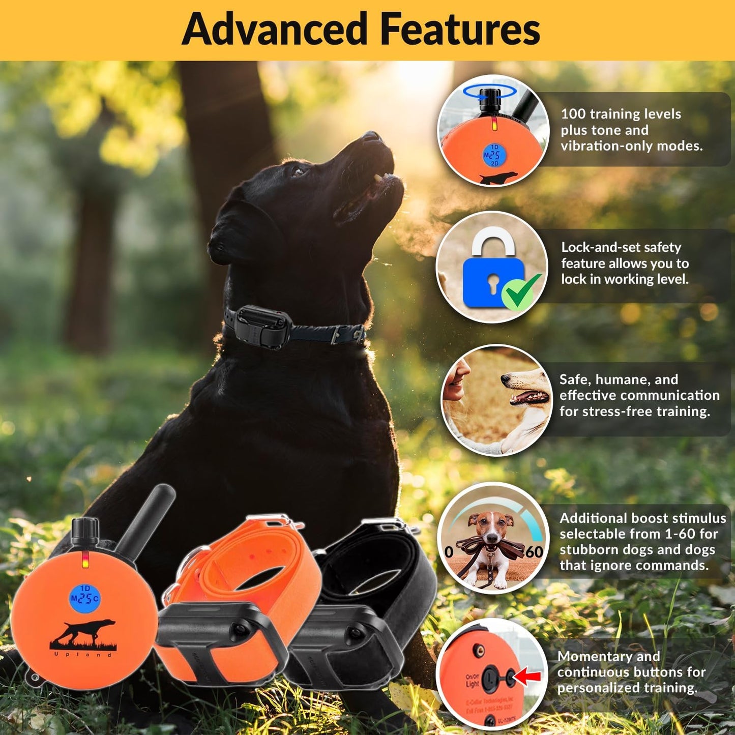 E-Collar Educator Upland Dog Training Collar, Orange, 2 Med/Large Dogs | 100 Levels of Safe Stimulation, 1 Mile Range, Waterproof & Rechargeable, Night Light, Includes Premium Finger Clicker