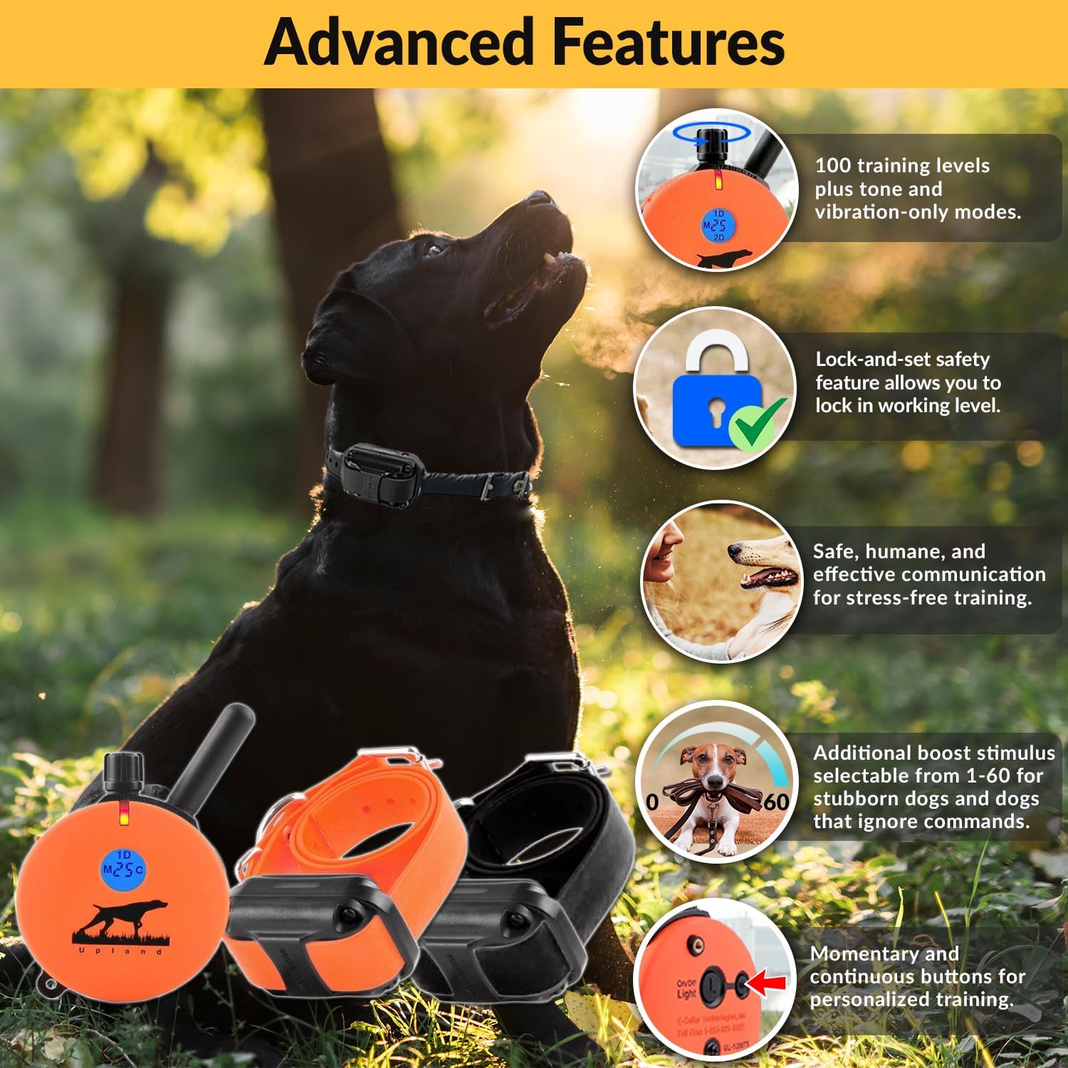 E-Collar Educator Upland Dog Training Collar, Orange, 2 Med/Large Dogs | 100 Levels of Safe Stimulation, 1 Mile Range, Waterproof & Rechargeable, Night Light, Includes Premium Finger Clicker