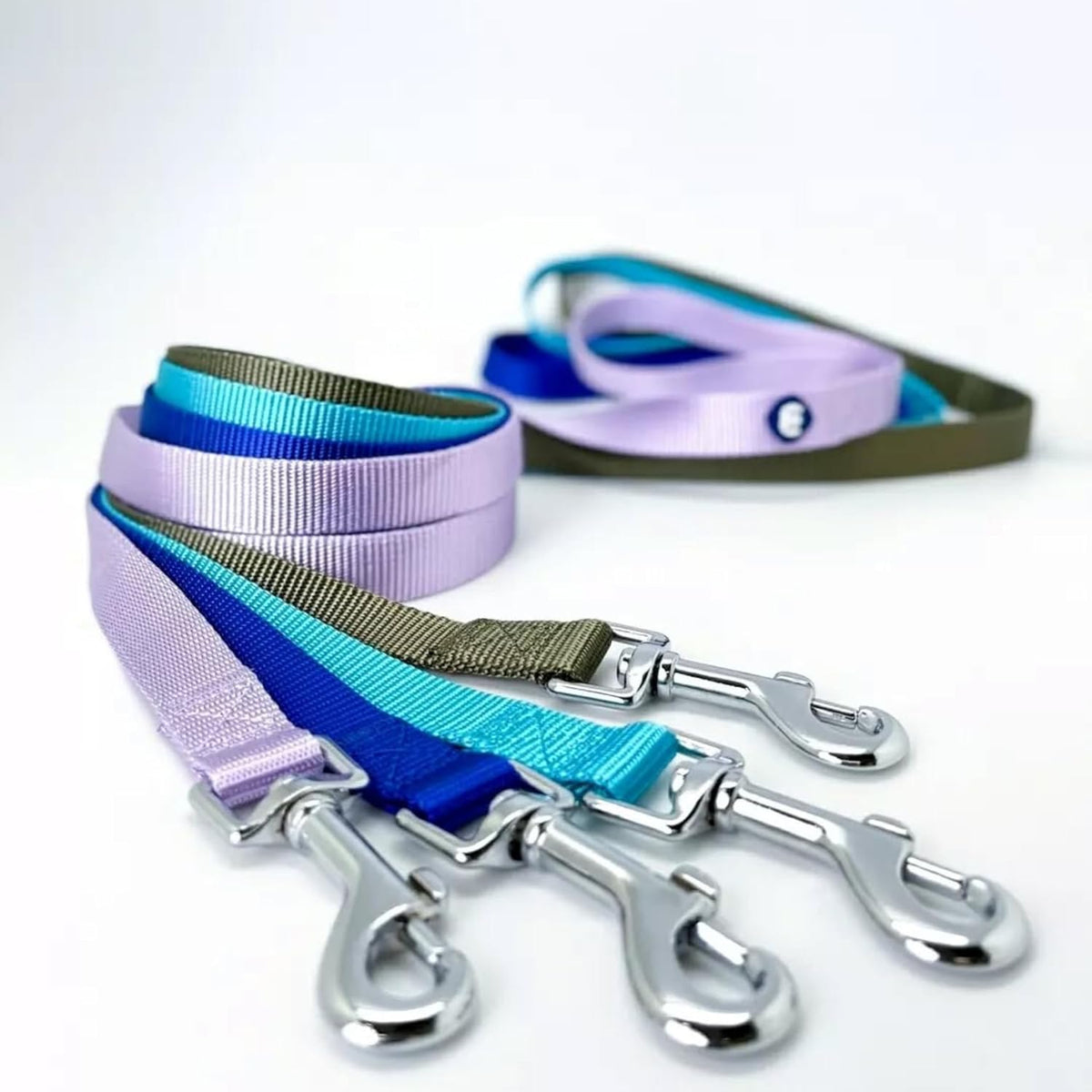 Blueberry Pet Essentials Violet Dog Leash for X-Small -5' * 3/8" Dogs | Heavy Duty Nylon Lead | Lightweight Puppy & Cat Leash for Walking & Training