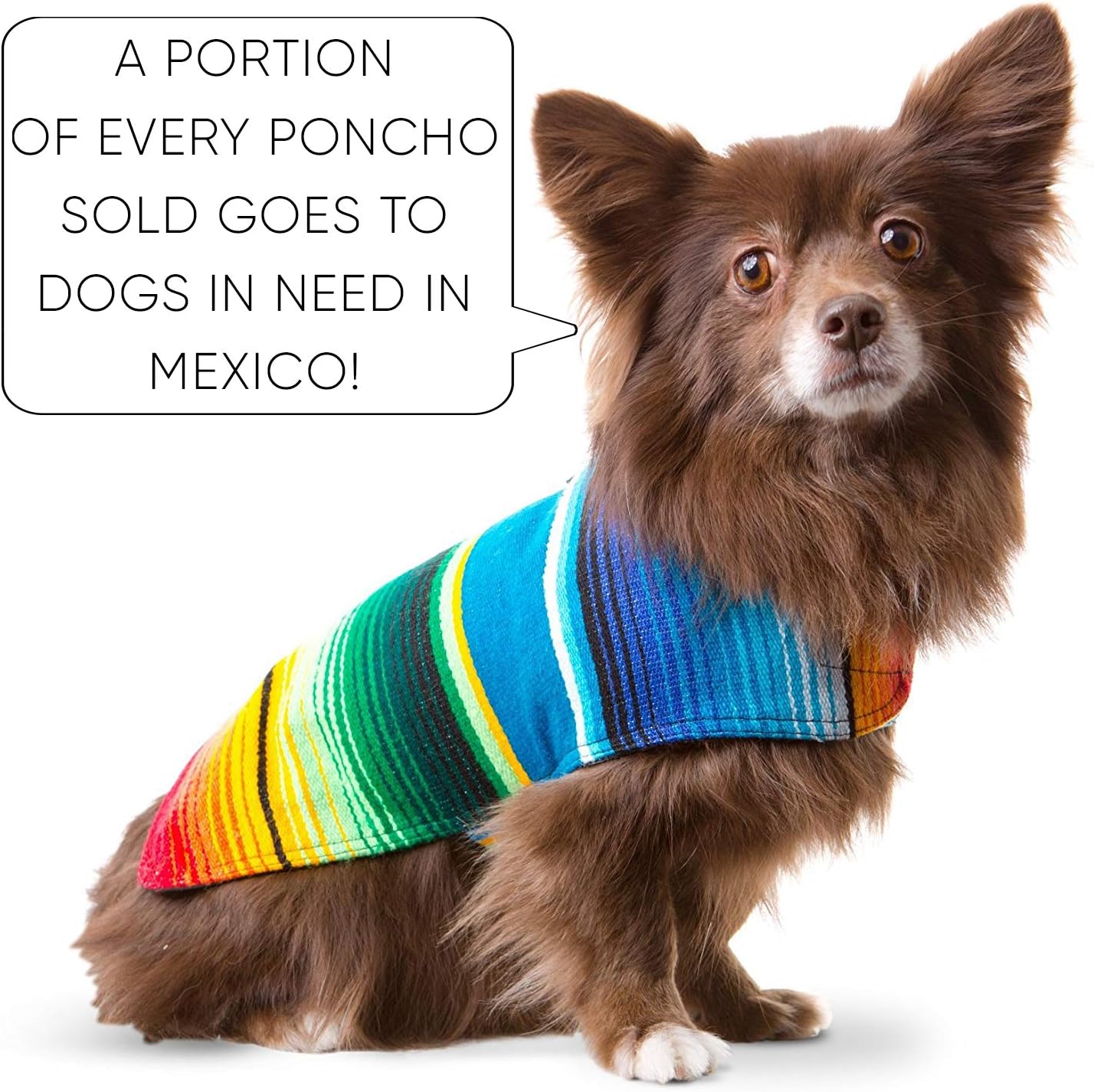 Dog Clothes - Handmade Dog Poncho from Authentic Mexican Blanket by Baja Ponchos (Blue, XXL)