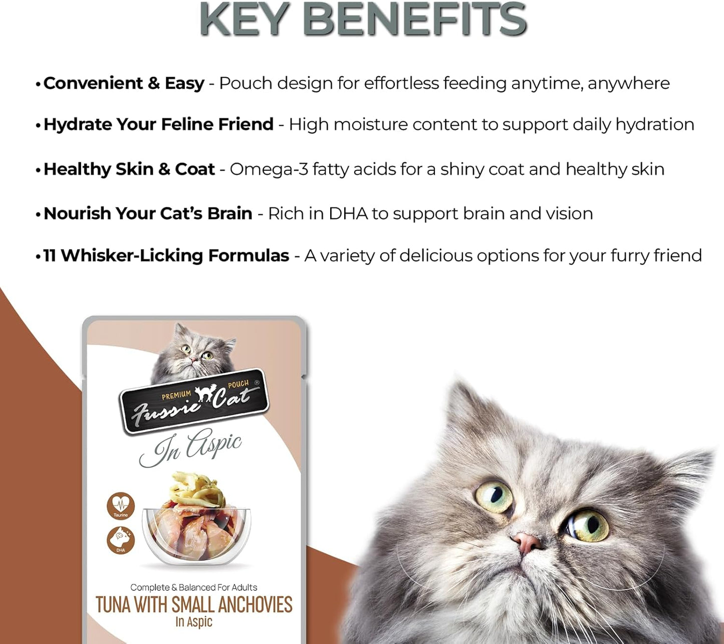cat Premium Tuna w/Small Anchovies 12 Count(Pack of 1)