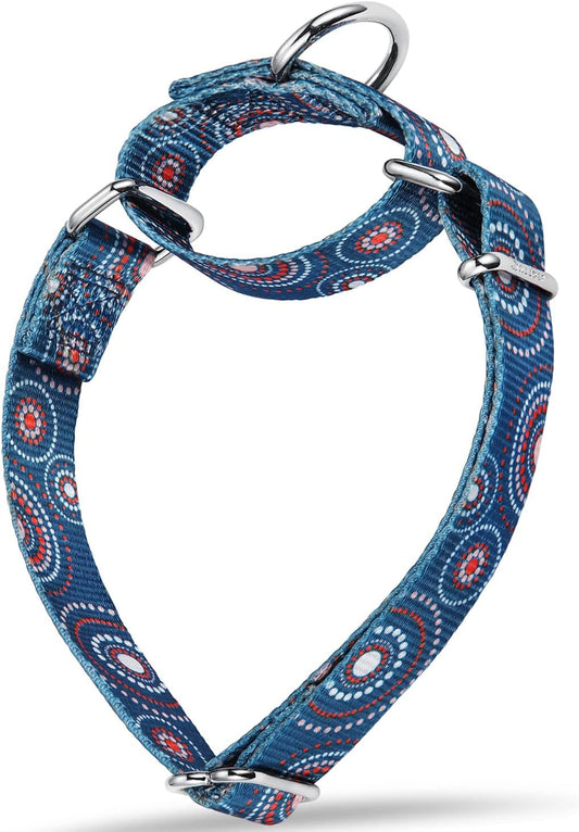 Dazzber Martingale Collar Floral Print Dog Collar, No Pull Pet Collar, Heavy Duty Adjustable Dog Collar, Medium, Neck 14 Inch to 21 Inch, Firework Dots-Indigo