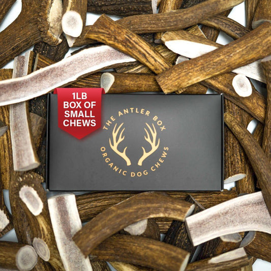 The Antler Box Premium Elk Antler Dog Chews (1 Pound Box) (Small (7-8 Pieces) Whole/Split Mixed)