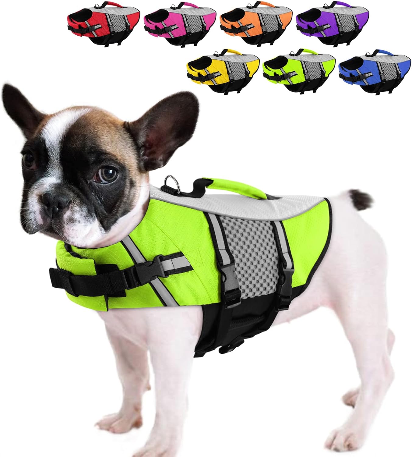 Queenmore Dog Life Jacket Small Float Vests for Swimming Boating Kayaking Mediumn Puppy Dogs Cats Neoprene Life Preserver Pet Water Lifesaver Lightweight Reflective Green,L
