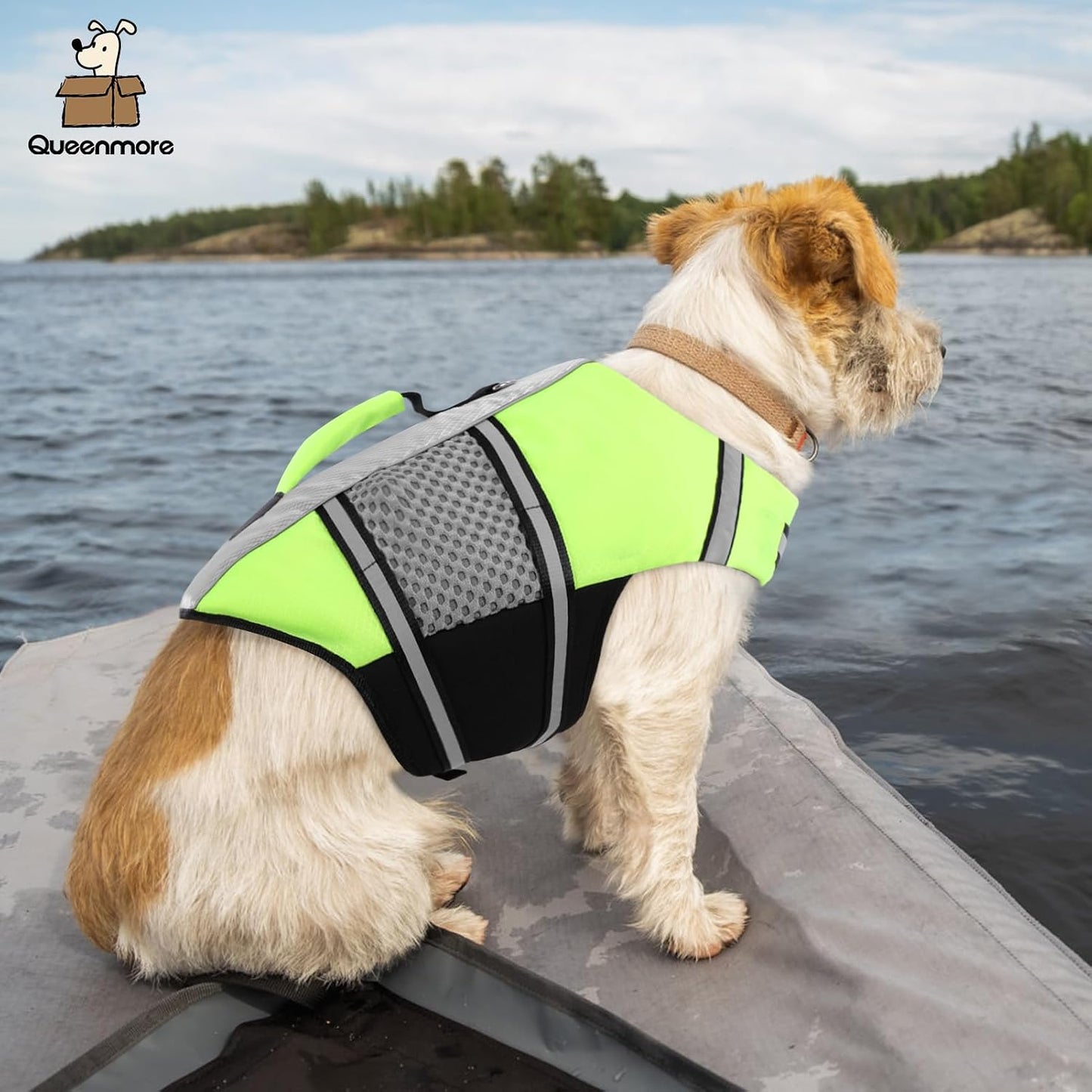 Queenmore Dog Life Jacket Small Float Vests for Swimming Boating Kayaking Mediumn Puppy Dogs Cats Neoprene Life Preserver Pet Water Lifesaver Lightweight Reflective Green,L