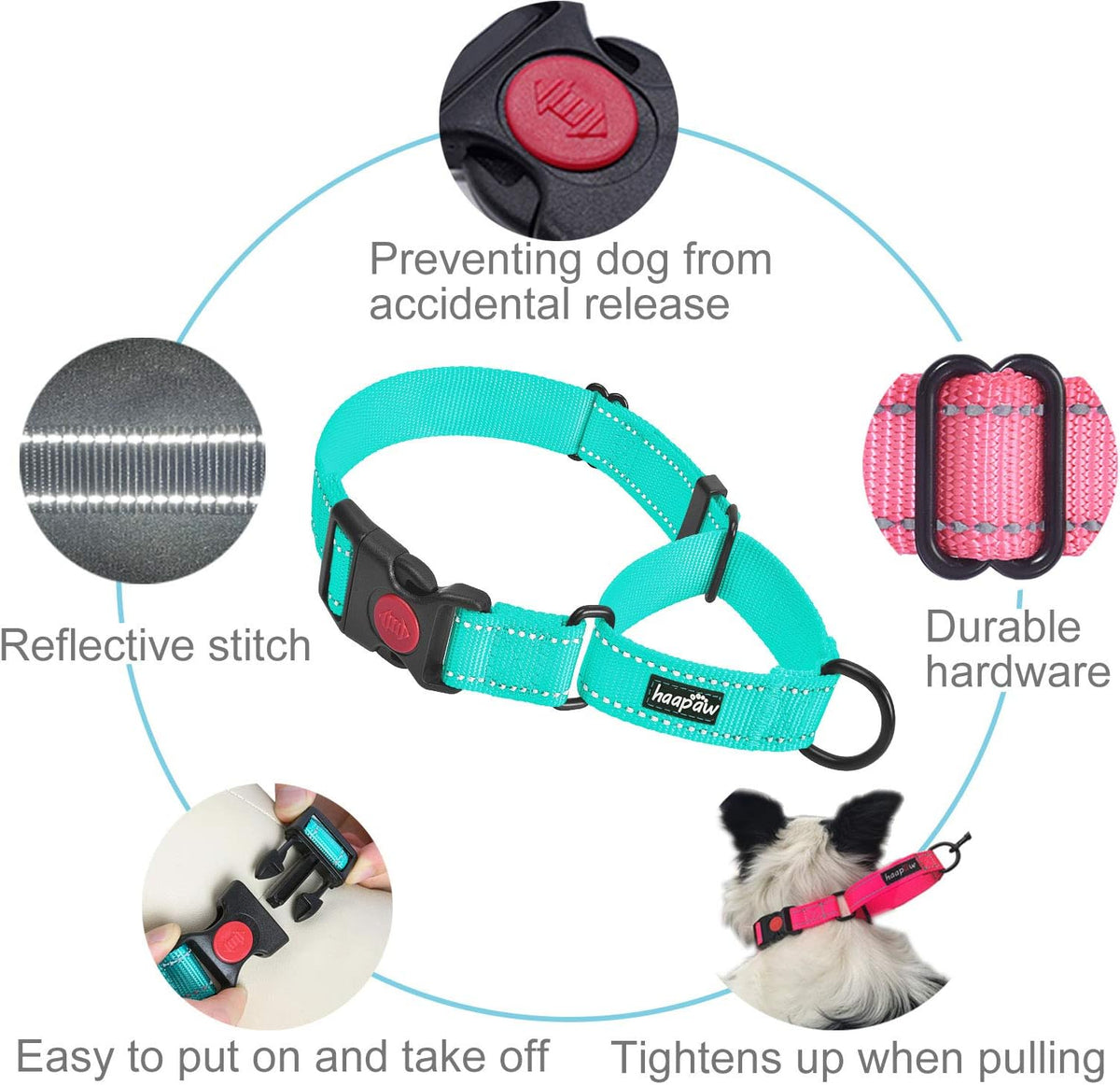 haapaw Martingale Dog Collar with Quick Release Buckle Reflective Dog Training Collars for Small Medium Large Dogs