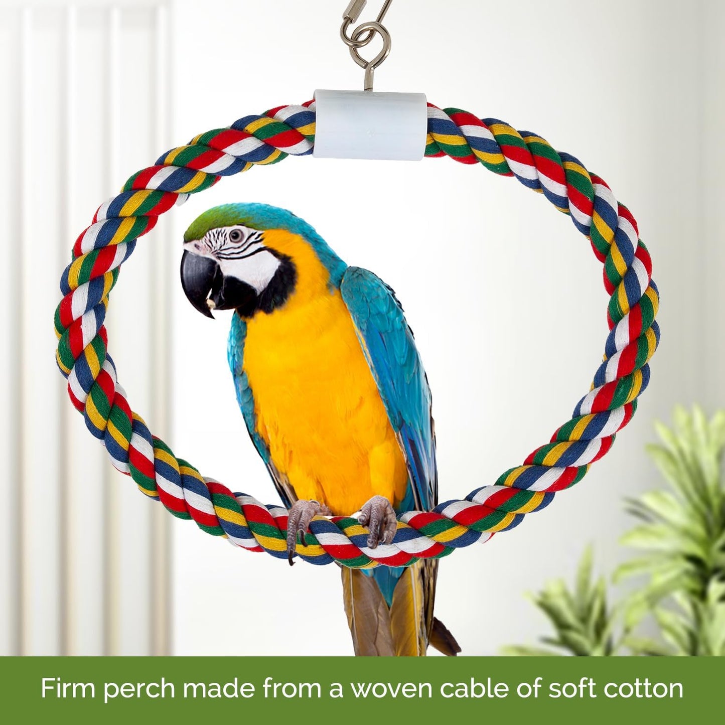 JW Pet Swing N' Perch, Large