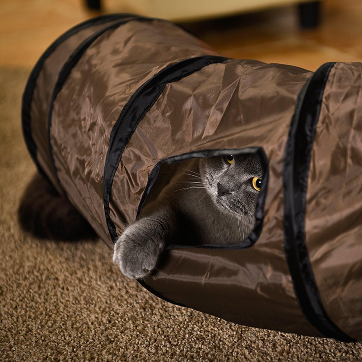 PAWZ Road Cat Toys Collapsible Tunnel for Rabbits, Kittens, Ferrets and Dogs
