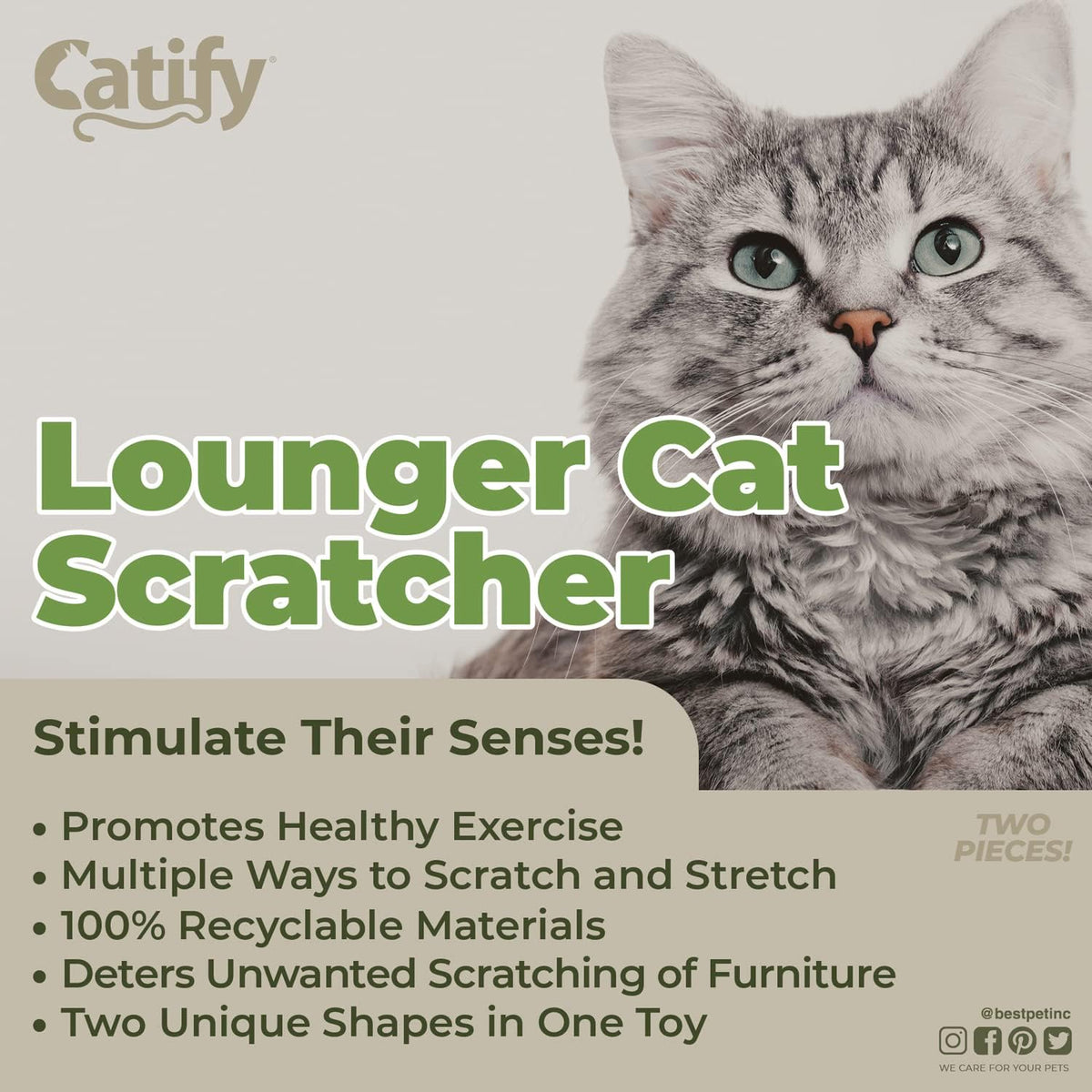 Best Pet Supplies Catify Cat Scratcher, Fun Interactive Scratchers, Posts, Poles, Claw Safe, Furniture Saver Indoor Play Support Natural Cat Behaviors Heavy Duty - Lounger I
