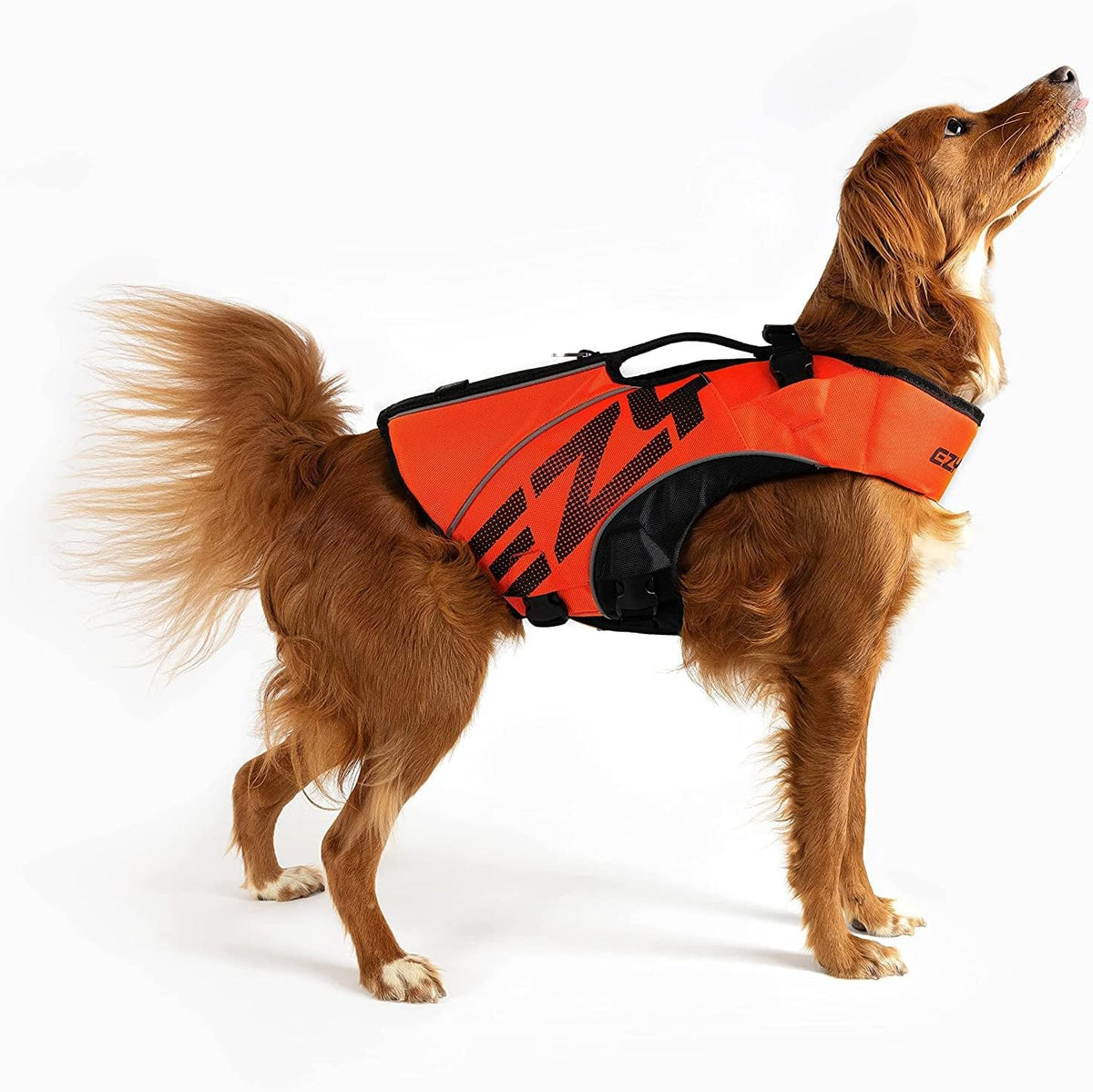 EzyDog DFD X2 Dog Life Jacket - Adjustable Swimming Safety Life Vest Preserver with Continuous Neck Flotation, Reflective Trim, & Grab Handle (Medium, Red)