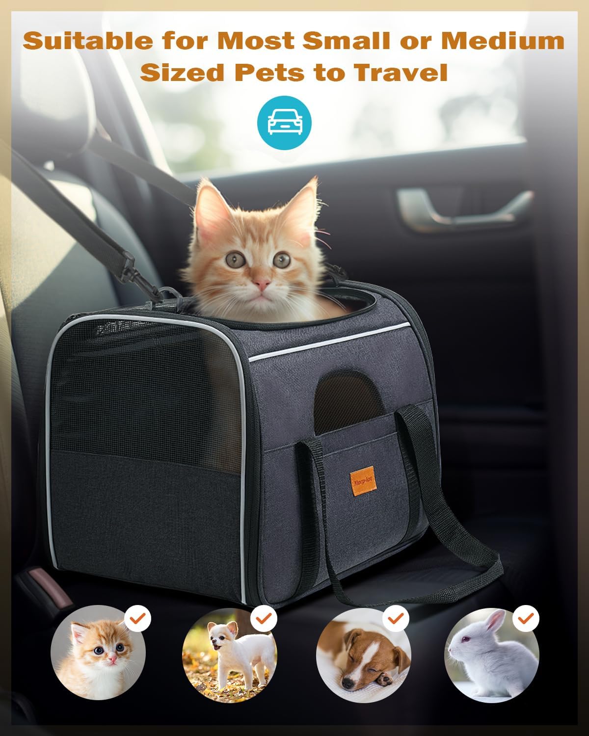 Morpilot Cat Carrier - Cat Carrier Soft for Medium or Large Cats up to 20lbs, with Dual-Sided Cushion, Secure Buckle and Foldable Bowl, Dog Carriers for Small Dogs - Pet Carrier (Dark Gray)