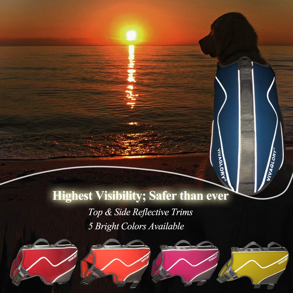 Vivaglory Dog Life Jacket, Snug Neoprene Large Dog Life Vest with Superior Buoyancy & Rescue Handle, Blue L