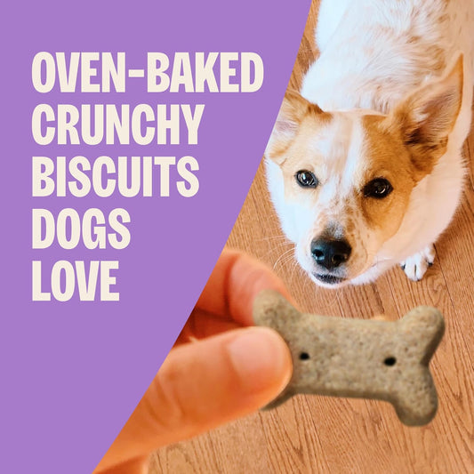 Wellness Old Mother Hubbard Classic Original Mix Dog Biscuits, Natural Training Treats, 4 Flavors, Small Size, 3.8 lb Bag