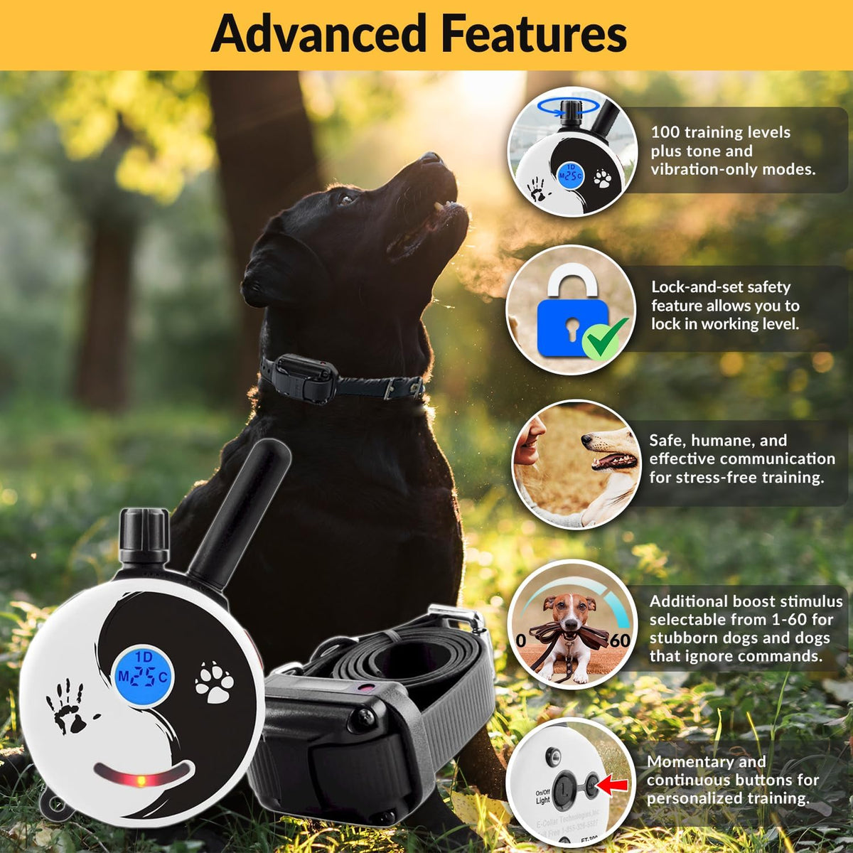E-Collar Mini Educator ET-300 Remote Dog Training Collar, ZEN | 1/2 Mile Range, Waterproof & Rechargeable, 100 Levels + Vibration + Tone + Light, For 1 Dog Small to Medium