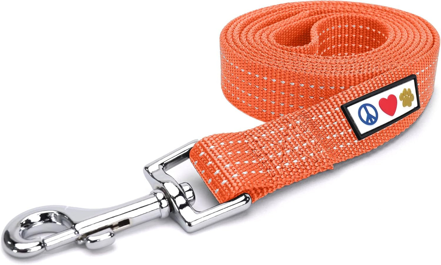 Pawtitas Orange Dog Leash 6 ft M/L Reflective Durable Lightweight Dog Lead for Medium or Large Dogs and Puppies