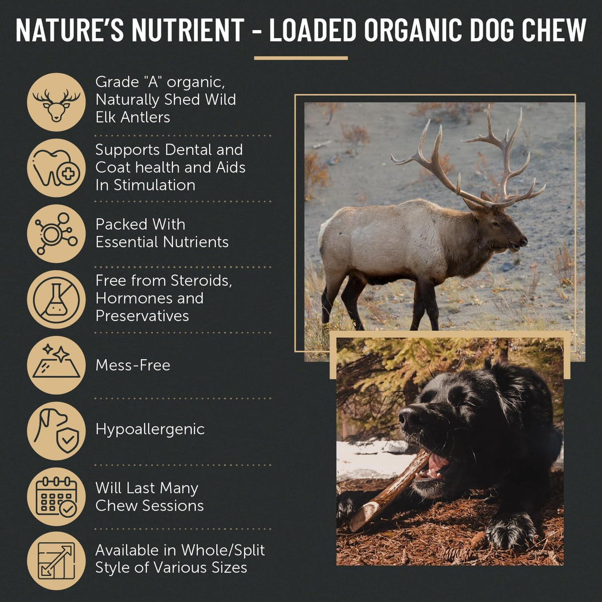 The Antler Box Premium Elk Antler Dog Chews (1 Pound Box) (Small (7-8 Pieces) Whole/Split Mixed)